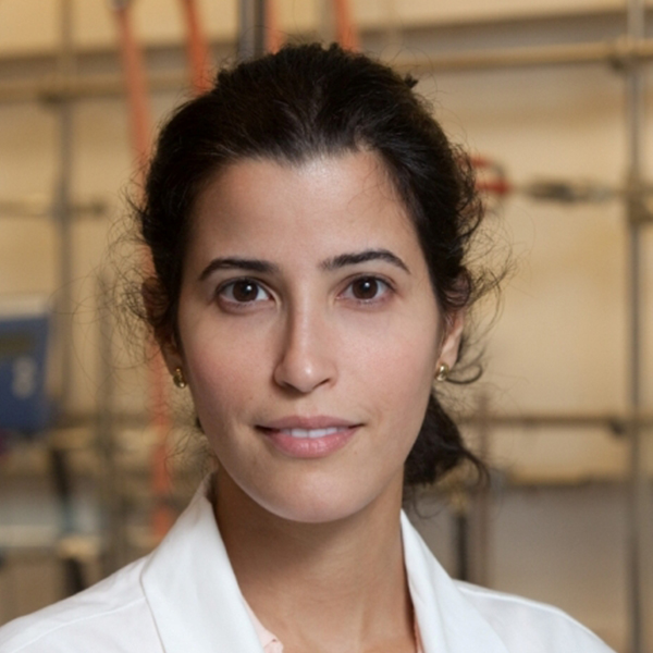 Dr. Ghada Al Mutairi